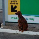 Bree al check-in di Pembroke