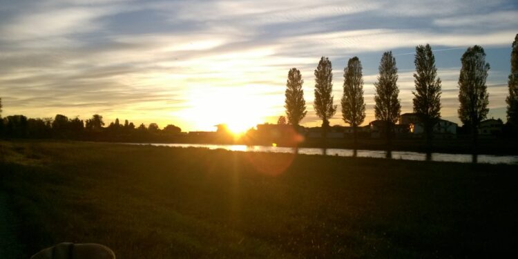 lodi