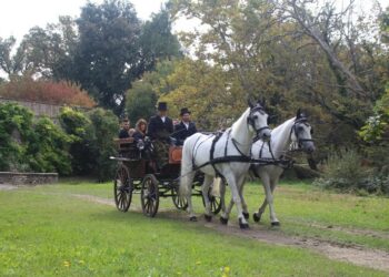 Tour in carrozza d’epoca: alla scoperta delle dimore storiche del Friuli Venezia Giulia