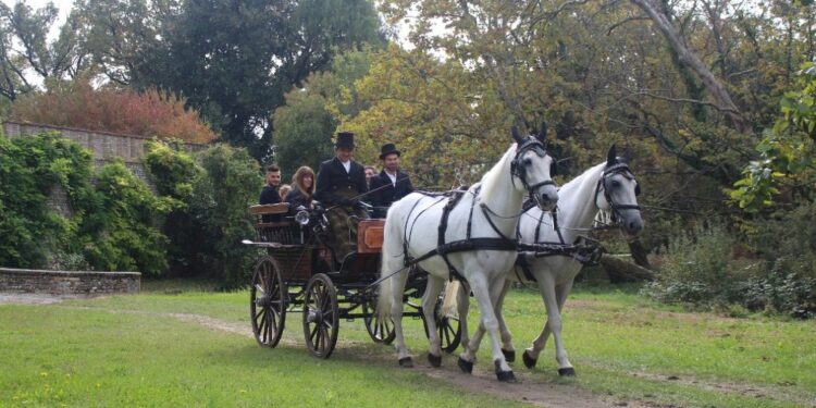 Tour in carrozza d’epoca: alla scoperta delle dimore storiche del Friuli Venezia Giulia