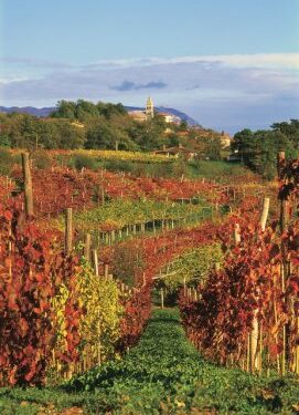Carso sloveno in autunno