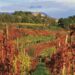 Carso sloveno in autunno