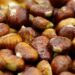 Castanea Expo: dal 12 al 14 dicembre a Firenze la prima fiera nazionale della castanicoltura