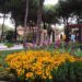 A Cervia la mostra floreale più grande d’Europa