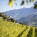 Chiusa e la Valle Isarco: qui la primavera è uno stato d’animo