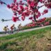 La Slovenia verde si prepara ad accogliere una tappa del Giro d’Italia