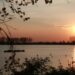 Esplorazioni d’autunno nelle Valli di Argenta (FE)