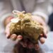 Da sabato 10 ottobre il via alla 90ª Fiera Internazionale del Tartufo Bianco d’Alba