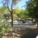 camping tellina