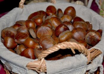 Il Divin Castagne è in fermento: al via la 7° edizione!