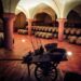 Da sabato 13 maggio con “Decanto” tornano le degustazioni nelle cantine del territorio marchigiano