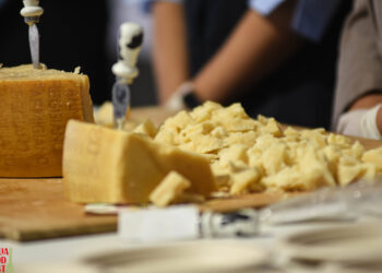 EmiliaFoodFest, dal 20 al 22 settembre il festival dei sapori e delle tradizioni della via Emilia.