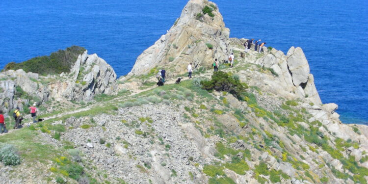 Isola d’Elba: Pasqua e giornate di primavera da vivere tra esperienze trekking, e-bike e cielo stellato