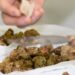 Fiera Nazionale del Tartufo Bianco di Borgofranco sul Po