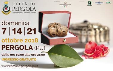 Fiera Nazionale del Tartufo bianco pregiato di Pergola