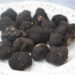 In Emilia Romagna da domenica 13 ottobre per cinque domeniche torna la Fiera Nazionale del Tartufo di Fragno