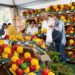 A Carmagnola torna la Fiera del Peperone: dal 29 agosto al 7 settembre un omaggio al tesoro del Piemonte