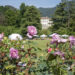 Il 4 e 5 maggio a Ranica (BG) torna Floreka, la mostra-mercato di fiori e piante