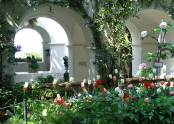Dal 7 settembre al 20 ottobre ad Anacapri (NA) arriva il Festival del Paesaggio
