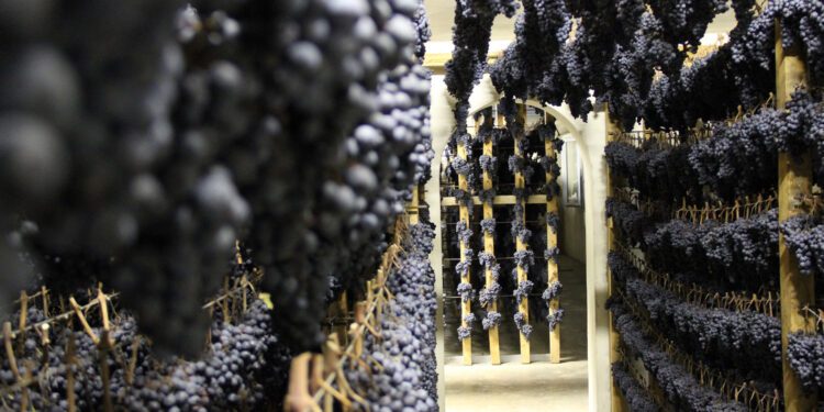 Appassimenti Aperti: a Serrapetrona (MC) due giorni per celebrare la Vernaccia Nera