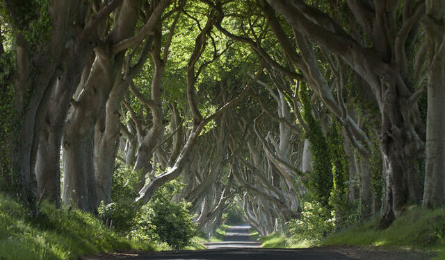 Benvenuti in Irlanda del Nord, la terra di Game of Thrones®