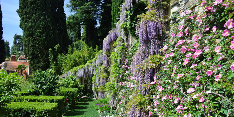 Ad Alassio (SV) riaprono i Giardini di Villa della Pergola