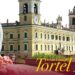 Gran Galà del Tortél Dóls