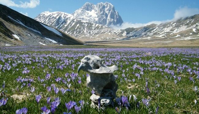 Gran Sasso