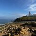 European Extreme Camper Adventure: i bruchi termineranno la metamorfosi in tempo?