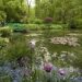 Il giardino di Claude Monet a Giverny