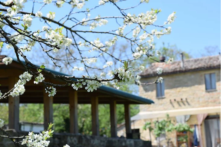 Nuova Convenzione Tessera Turit con l’Azienda Agricola D’Alessio (Staffolo – AN)