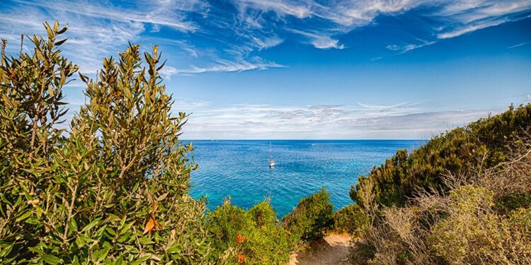 Giugno all’Isola d’Elba è il mese dei profumi e dei colori con la Via dell’Essenza