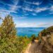 Giugno all’Isola d’Elba è il mese dei profumi e dei colori con la Via dell’Essenza