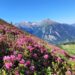 “Le Strade dei Forti”: dal Po al Monviso 13 tappe tra frutteti, castelli e dimore storiche