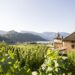 Tanti itinerari estivi per camminare, pedalare e respirare in Alto Adige