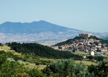 Lagopesole