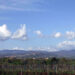 Lanuvio