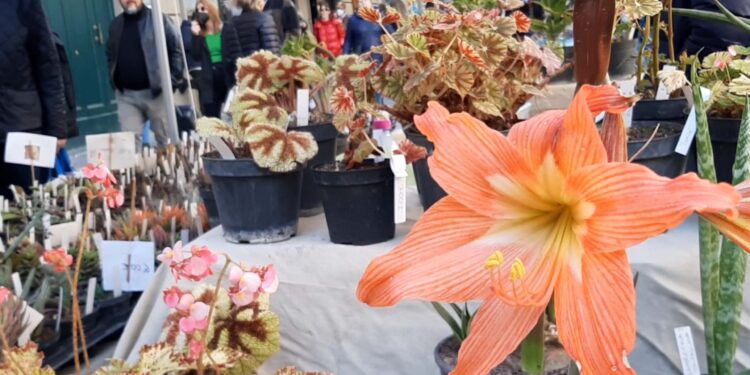 Livorno in fiore: dal 4 al 6 aprile l’evento di Pasqua con la floricoltura e del florovivaismo