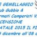 Raduno Gubbio Club Viaggiare Informati Camperisti VIC