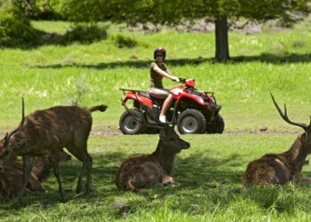 Mauritius: Alla scoperta dei Domaine Coloniali