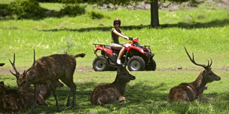 Mauritius: Alla scoperta dei Domaine Coloniali