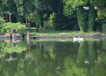 Mantova - vista Lago