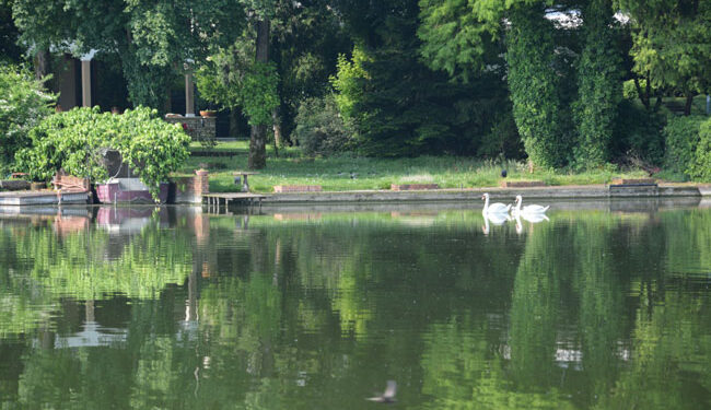 Mantova - vista Lago