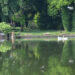 Mantova - vista Lago