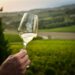 A Sestri Levante (GE) il 22 e 23 maggio l’edizione 2022 di Mare&Mosto – Le vigne sospese