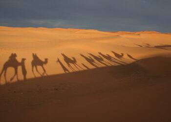 Avventura Imperiale in Marocco Con Turit e Go Camper