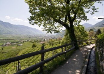 Escursioni d’autunno a Merano e dintorni