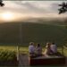 Vendemmia da vivere! In Monferrato esperienze dirette tra cantine filari