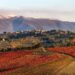 Montefalco