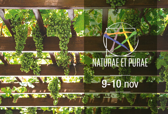 I vini del futuro a Naturae&Purae